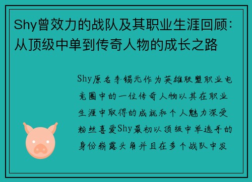 Shy曾效力的战队及其职业生涯回顾：从顶级中单到传奇人物的成长之路